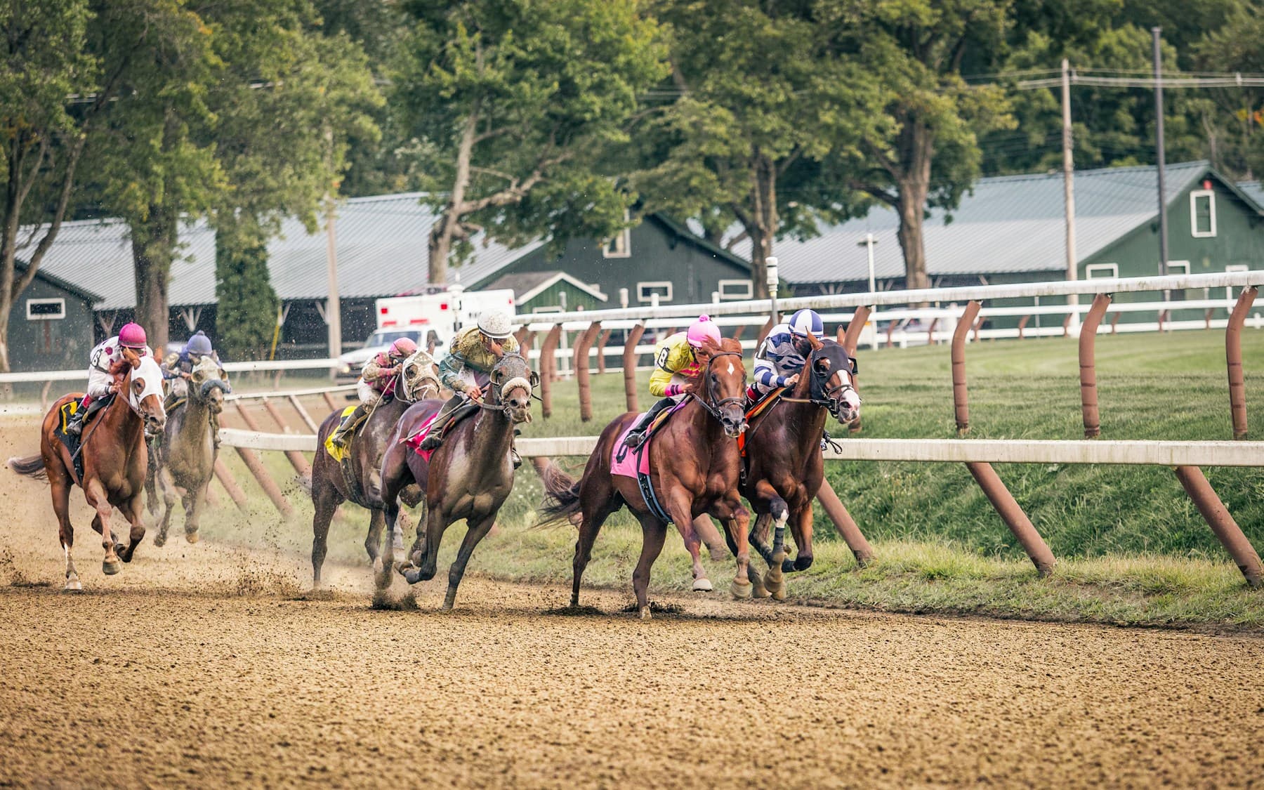 Racehorses kicking up dirt while rounding the track at Saratoga
