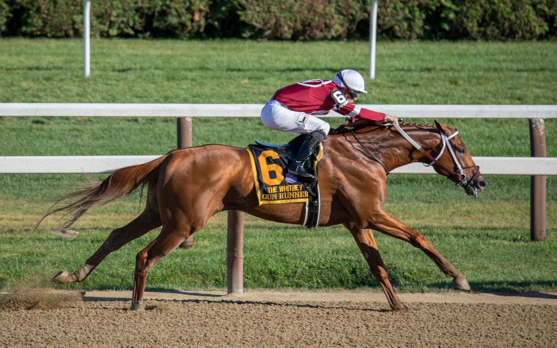 Thoroughbred racehorse Gun Runner galloping with jockey Florent Geroux at Saratoga